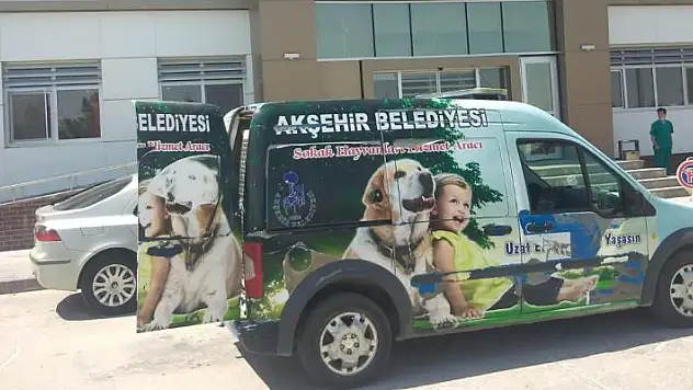 Konya'da aracın çarptığı yaralı köpeği Akşehir Belediyesi sahip çıktı
