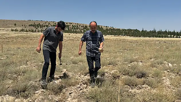 Konya'da araziden toplanan taşlar ehil ellerde değerini buluyor