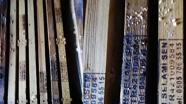 Konya'da arı kovanı hırsızlığı