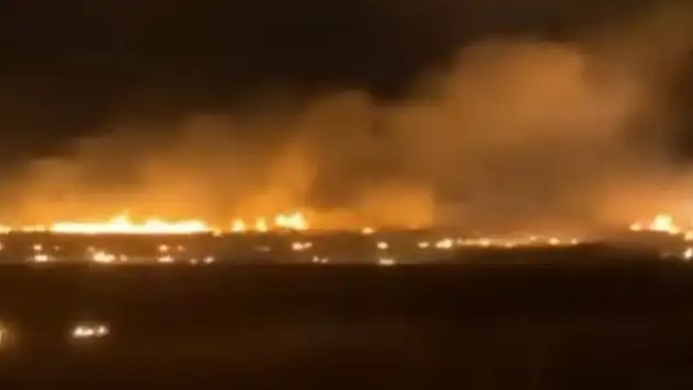 Konya'da arpa ekili arazi alev alev yandı
