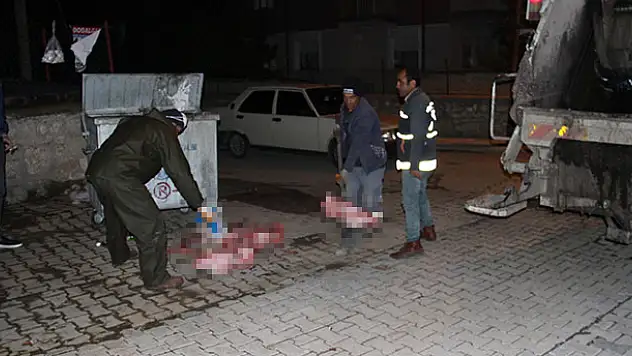 Konya'da at kesildiği şüphesi tedirgin etti