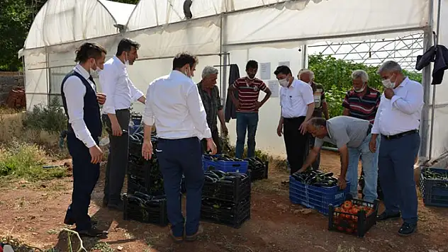 Konya'da atıl araziye kurdukları sera belediyenin gelir kapısı oldu