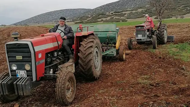 Konya'da atıl tarım alanları aspir ekilerek üretime kazandırılıyor
