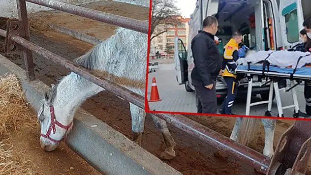 Konya'da attan düşen kişi 15 günlük yaşam mücadelesini kaybetti
