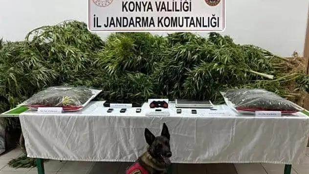 Konya'da avukatın çiftliğine uyuşturucu baskını: Avukat serbest bırakıldı, 2 çalışan tutuklandı