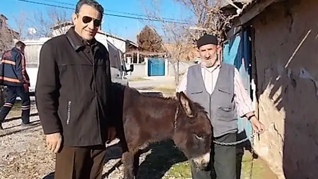 Konya'da ayağı kırılan eşeğe, sahip çıktılar