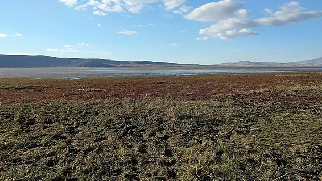 Konya'da balık tutulan göl kurudu, tarlaya döndü