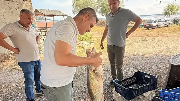 Konya'da balıkçılıkta yeni kontroller! Kurallar tek tek denetleniyor