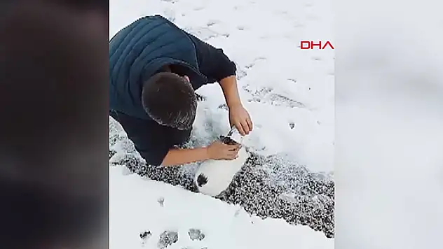 Konya'da başı konserve kutusuna sıkışan kediyi vatandaşlar kurtardı
