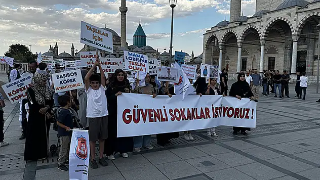 Konya'da 'Başıboş köpek sorununa 'dur' de' etkinliği düzenlendi
