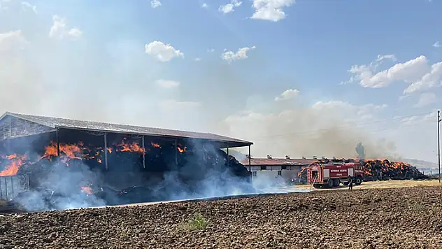 Konya'da besi çiftliğinde çıkan yangında 33 büyükbaş hayvan telef oldu

