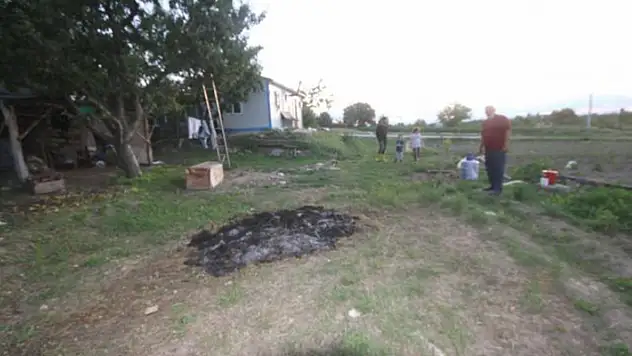 Konya'da besihaneye gelen kurt iki köpeği telef etti
