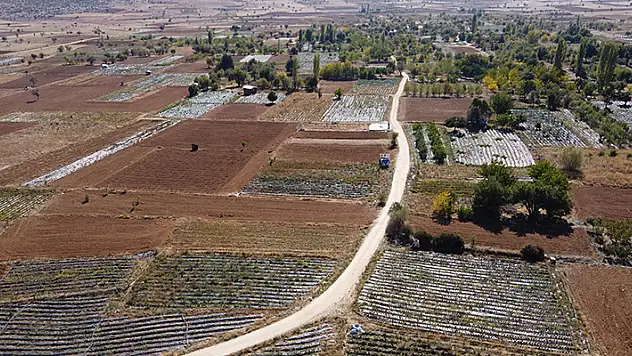 Konya'da bin 150 nüfuslu mahallenin kaderi organik çilekle değişti