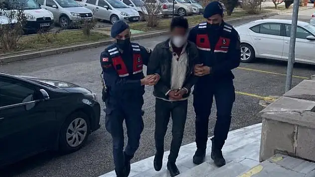 Konya'da bin 600 meyve fidanı çaldığı iddia edilen şüpheli yakalandı! Serbest bırakıldı