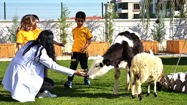 Konya'da bir anaokulunun öğrencileri at, ceylan ve kuzularla eğitim görüyor