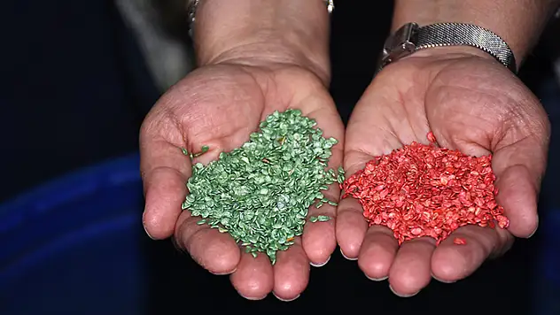 Konya'da bir firmanın ıslah ederek ürettirdiği tohumlar 20 ülkeye satılıyor