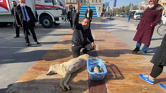 Konya'da bir hayvansever tüfekle öldürülen köpeğin yavrularını da alarak Valilik önünde eylem yaptı

