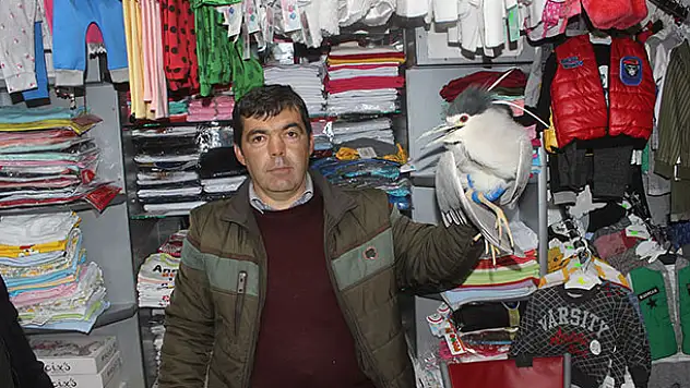 Konya'da bir kişi evinin önünde bulduğu yaralı kuşu yetkililere teslim etti