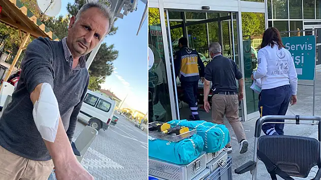 Konya'da bir kişi sahiplenmek istediği çoban köpeği tarafından ısırıldı

