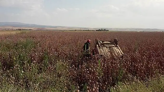 Konya'da Bir Otomobil Haşhaş Kapsülü Ekili Tarlaya Devrildi