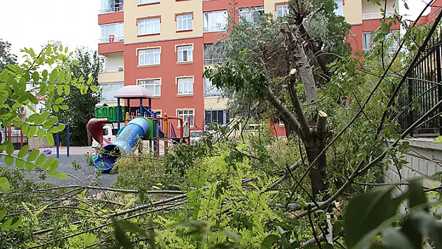 
Konya'da bir sitenin bahçesindeki ağaçların kesilmesi tepki çekti