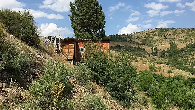 Konya'da bir vatandaş ardıç gövdesinin etrafına ev yaptı