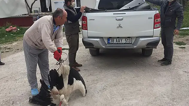 Konya'da bir vatandaş evinin bahçesinde bulduğu yaralı leyleği yetkililere teslim etti