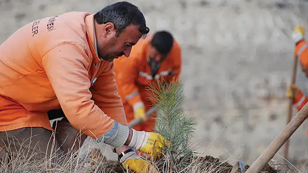 Konya'da bir yılda 7 milyon fidan toprakla buluştu