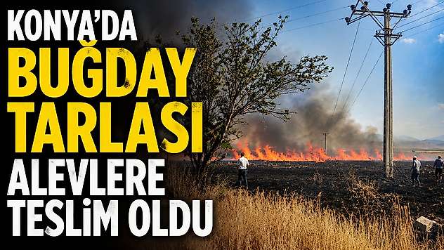 Konya'da buğday tarlası alevlere teslim oldu