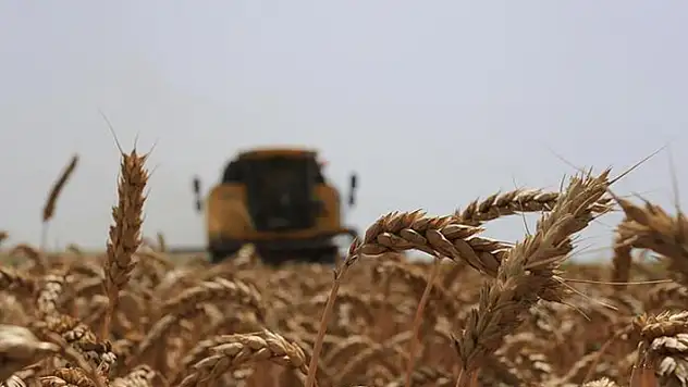 Konya'da buğdayda verim değişimi ve gelir kaybı riskine TARSİM teminatı sağlandı
