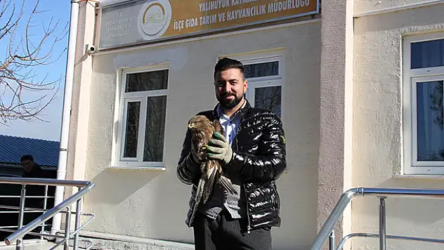 Konya'da bulunan kızıl şahin tedavi altına alındı
