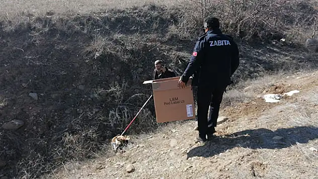 Konya'da bulunan yaralı bulunan şahin tedavi edilecek