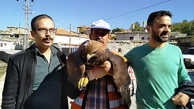 Konya'da bulunan yaralı kaya kartalı tedavi altına alındı
