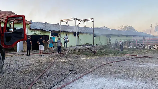 Konya'da büyükbaş hayvan ağılında yangın çıktı
