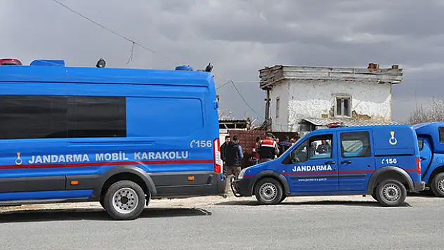 Konya'da büyükbaş hayvan hırsızlığı