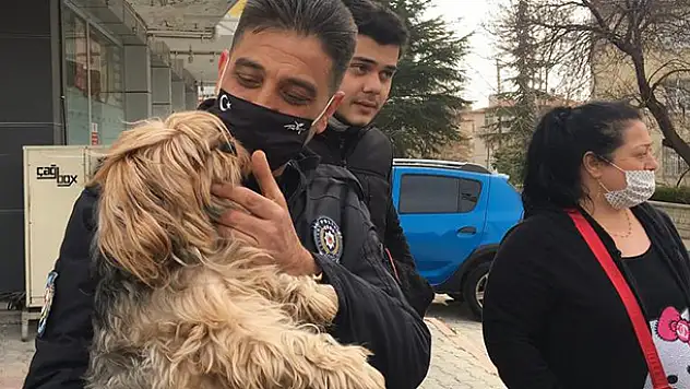 Konya'da çaldığı iki cins köpeği sosyal medyadan satmaya çalışan kadın alıcı gibi davranan polislerce yakalandı