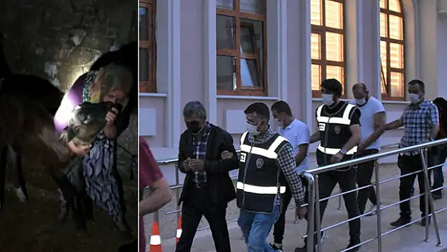 Konya'da çalınan hayvanları bulunan kadının büyük sevinci: Buzağıyı 'Kınalı kuzum' diyerek sevdi