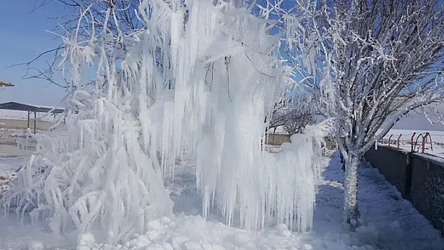 Konya'da çeşme borusu patladı, söğüt ağacı buz ağaca döndü