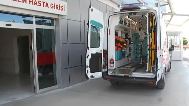 Konya'da ceviz ağacından düşen kişi yaralandı 
