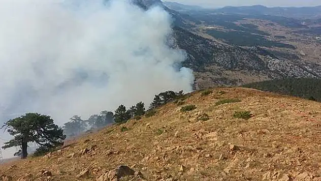 Konya'da çıkan orman yangını söndürüldü