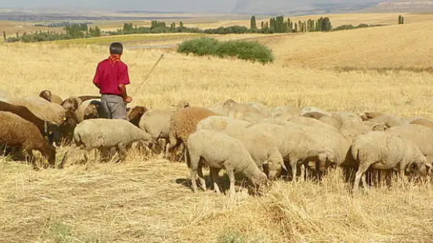 Konya'da çoban kendi tüfeği ile yaralandı