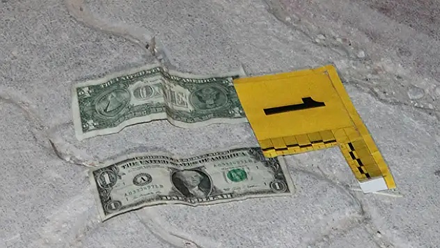 Konya'da çöpte iki adet 1 dolar bulundu