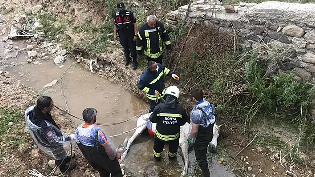 Konya'da dere yağına düşen at itfaiyenin çalışmasıyla kurtarıldı
