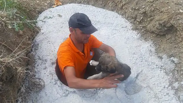 Konya'da direk çukuruna düşen yavru köpekler kurtarıldı
