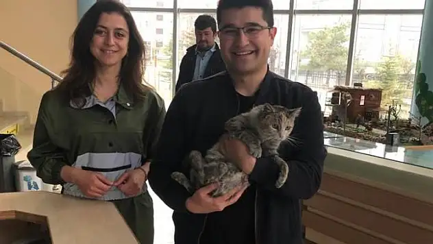 Konya'da doğumu yarım kalan sokak kedisinin hayatı sezaryenle kurtarıldı
