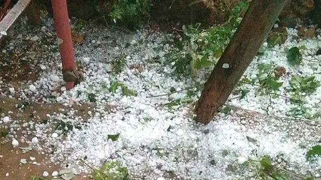 Konya'da dolu ekili alanlara zarar verdi