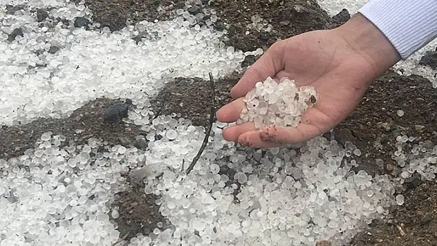 Konya'da dolu ekili arazilere zarar verdi
