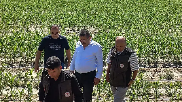 Konya'da dolunun etkilediği alanlar incelendi