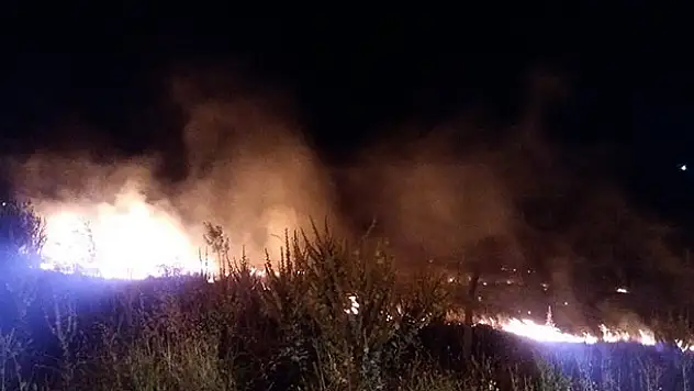 Konya'da düğünde atılan havai fişek yangın çıkardı
