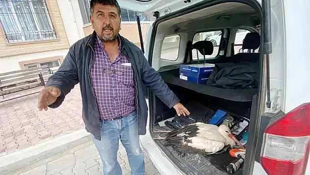 Konya'da duyarlı vatandaş yaralı leyleği arazide bırakmadı, ilçeye götürdü
